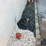 Дом отдыха Pina House Пера