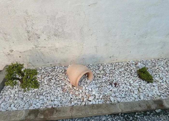 Pina House Casa vacanze