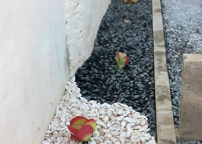 Hébergement de vacances Pina House Pêra